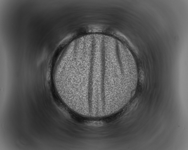 X0000086760543200705111717