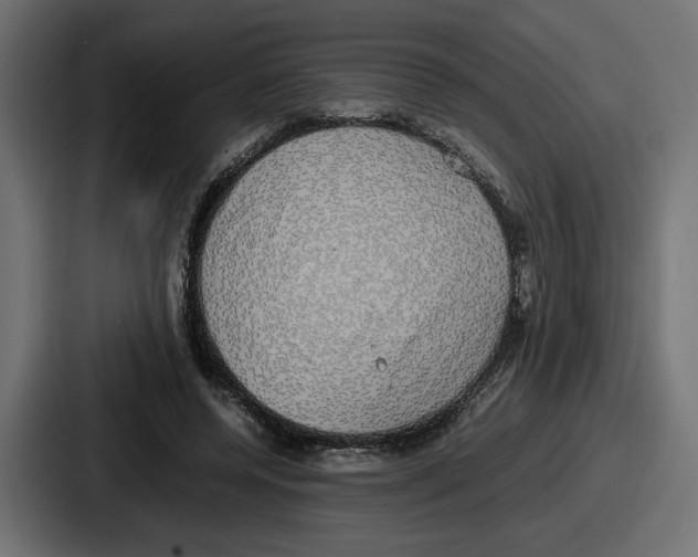 X0000086760544200705111717