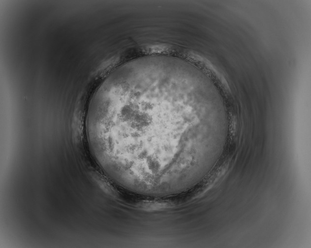X0000086760545200705111717