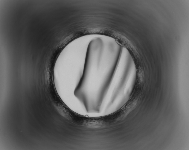 X0000086760546200705111717