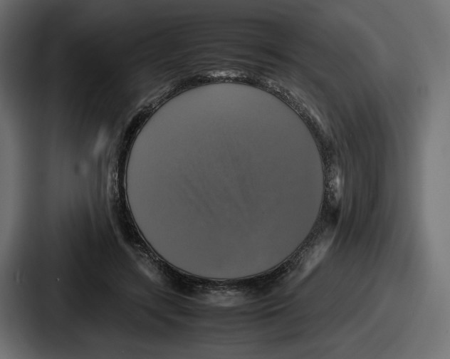 X0000086760547200705111717