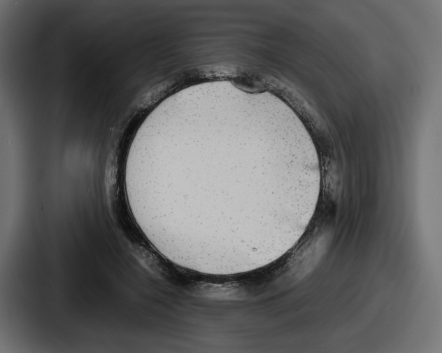 X0000086760548200705111717