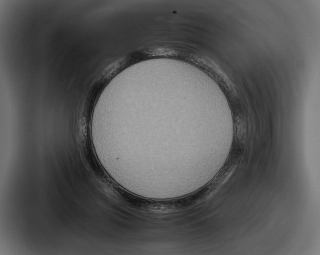 X0000086760549200705111717