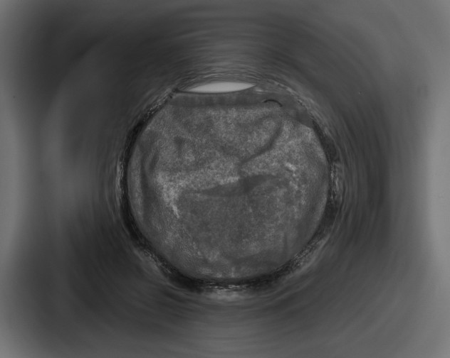 X0000086760550200705111717