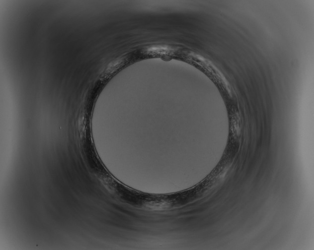 X0000086760551200705111717