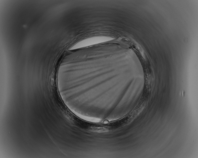 X0000086760553200705111717