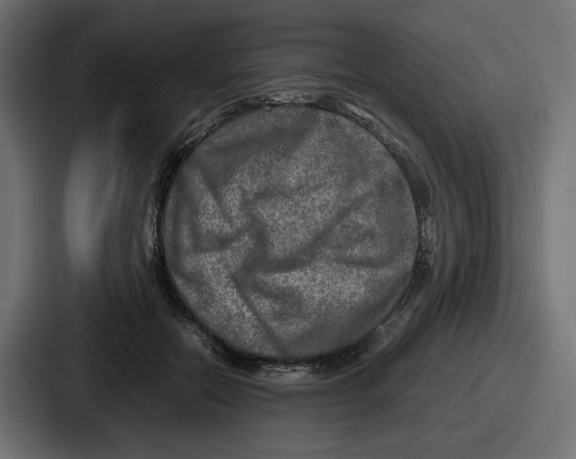 X0000086760554200705111717