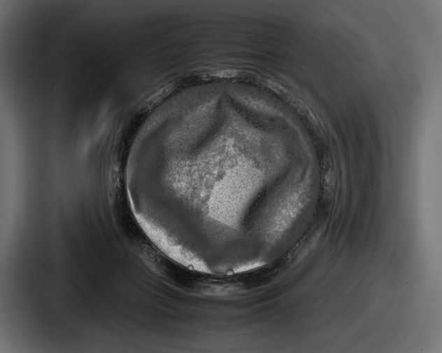 X0000086760555200705111717