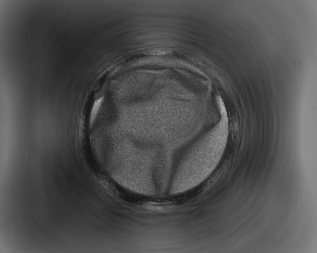 X0000086760556200705111717
