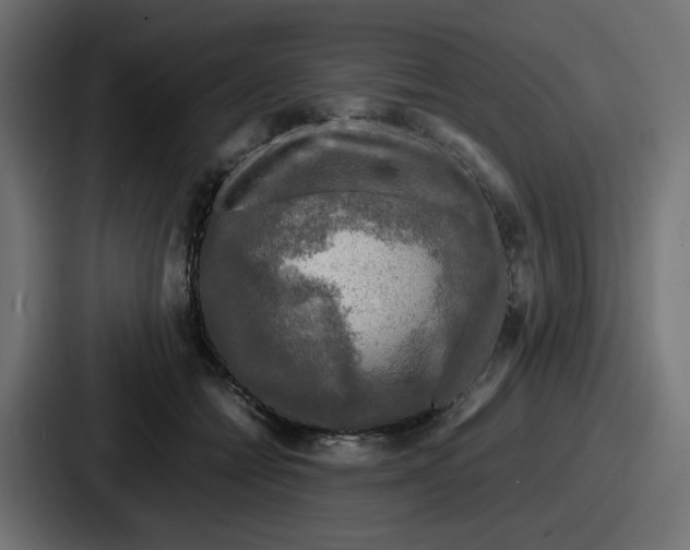 X0000086760558200705111717