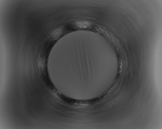 X0000086760559200705111717