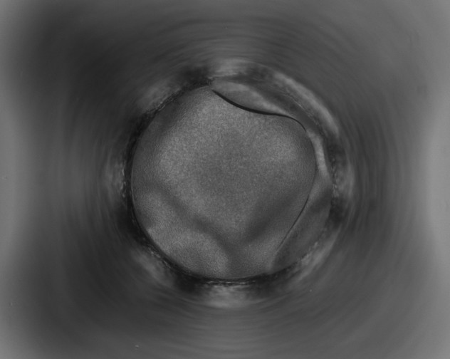 X0000086760560200705111717