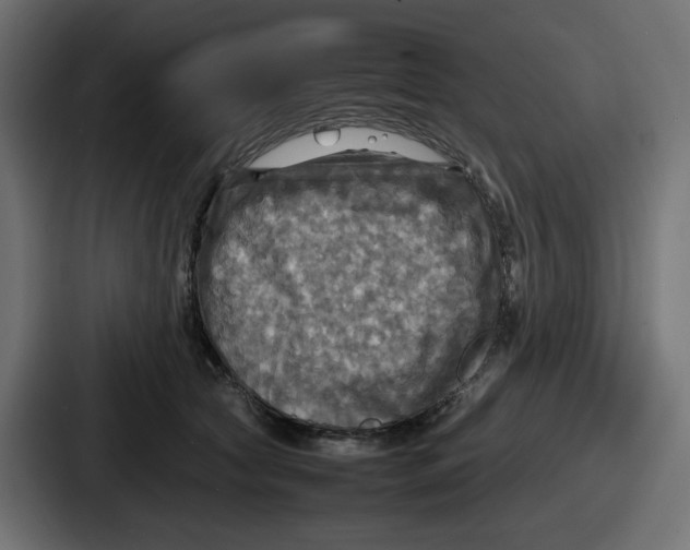 X0000086760561200705111717