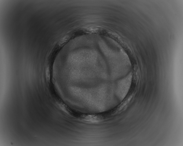 X0000086760562200705111717