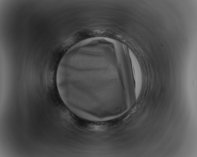 X0000086760563200705111717