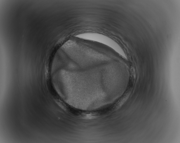 X0000086760564200705111717
