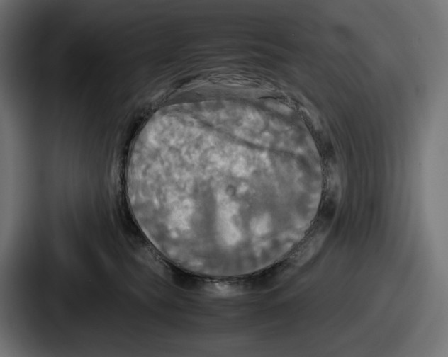 X0000086760565200705111717