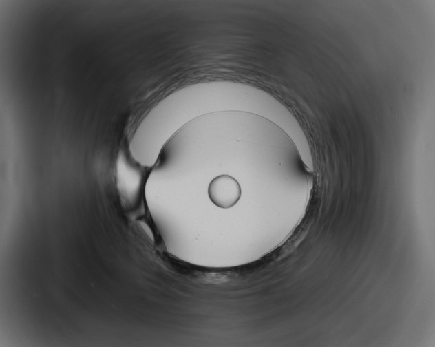 X0000086760566200705111717