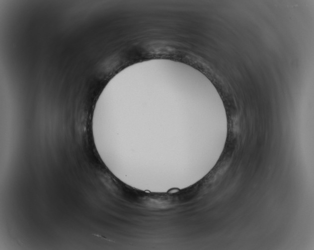 X0000086760567200705111717