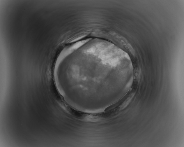X0000086760568200705111717