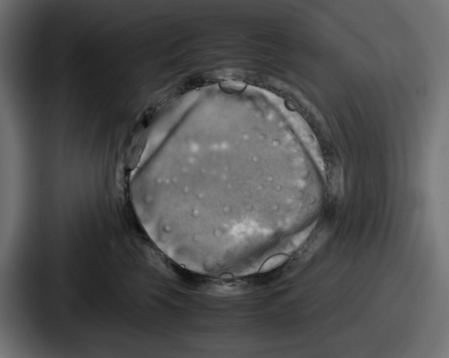 X0000086760569200705111717