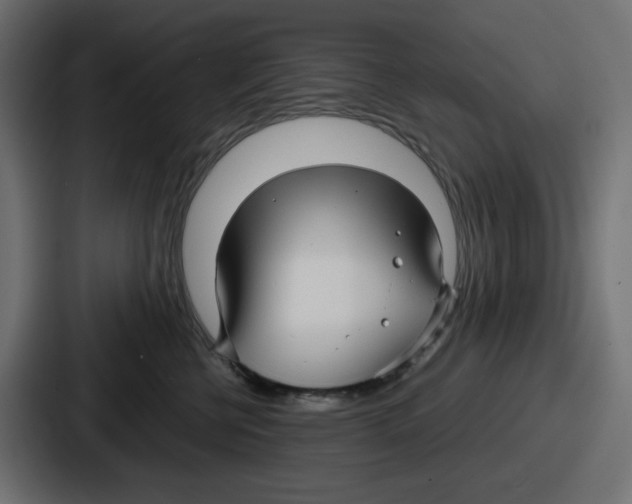 X0000086760570200705111717