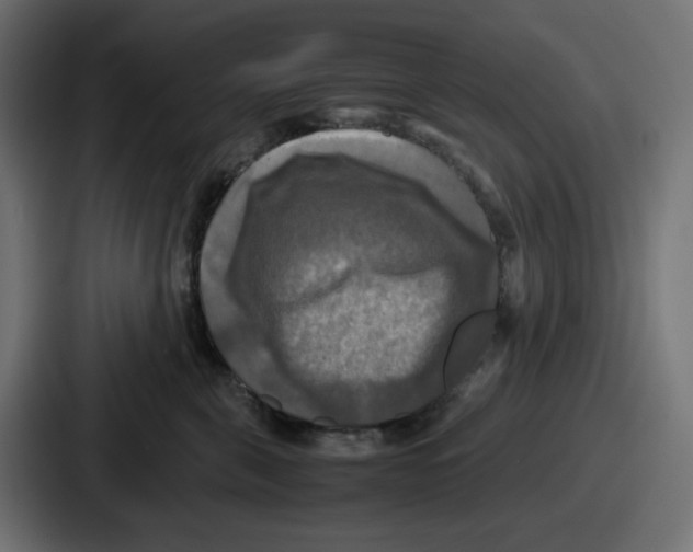 X0000086760571200705111717