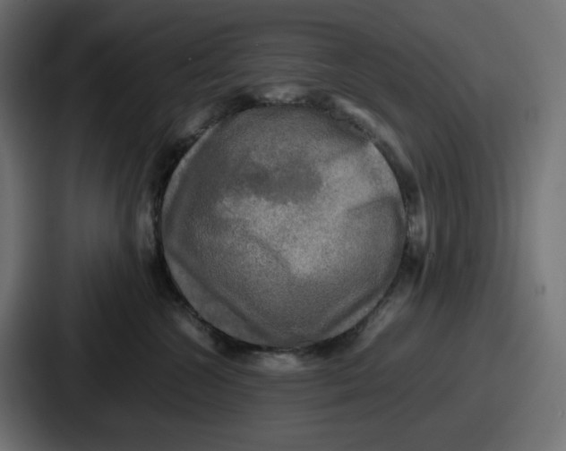 X0000086760572200705111717