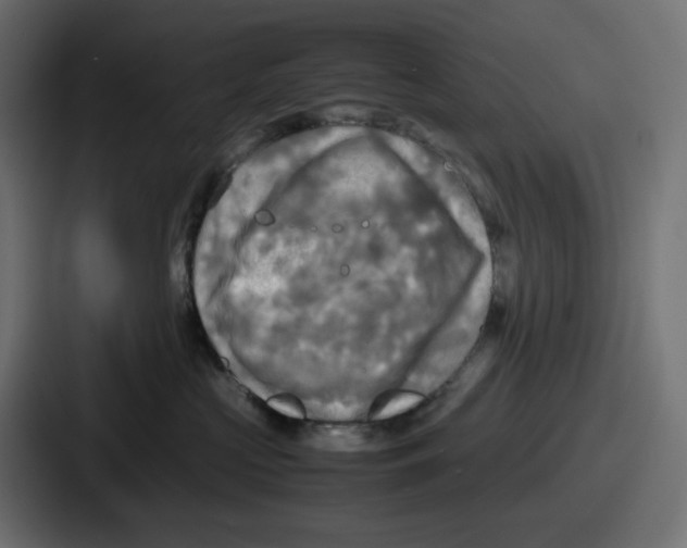 X0000086760573200705111717