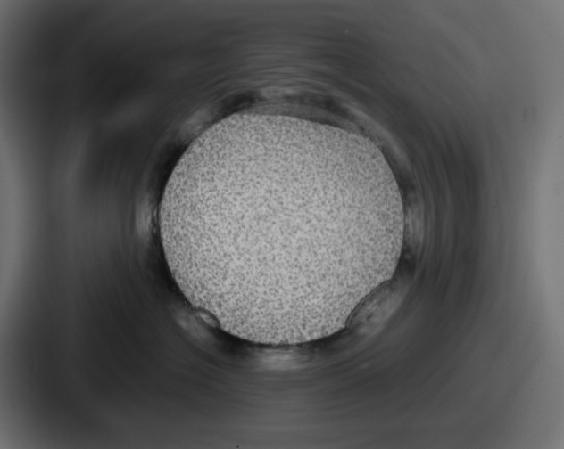 X0000086760574200705111717