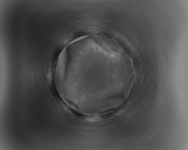X0000086760576200705111717