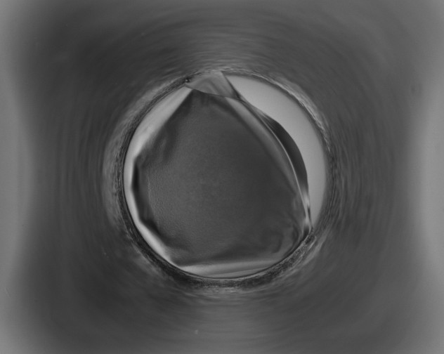 X0000086760577200705111717