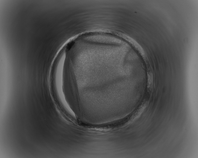 X0000086760580200705111717