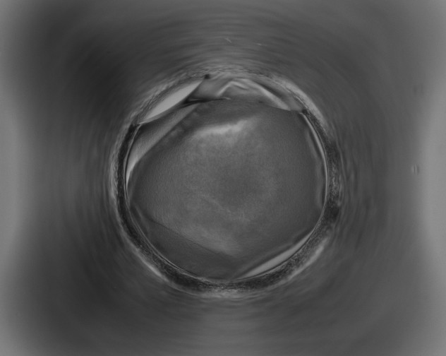 X0000086760581200705111717