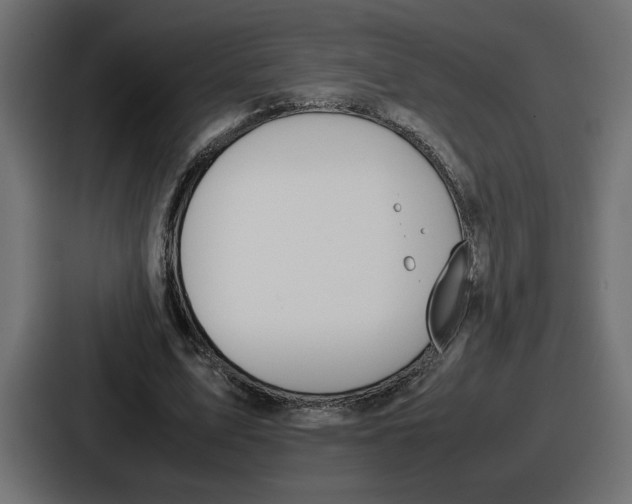 X0000086760583200705111717