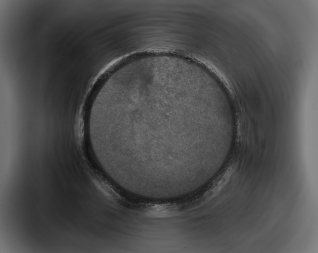 X0000086760584200705111717