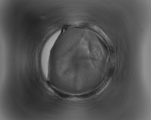 X0000086760585200705111717