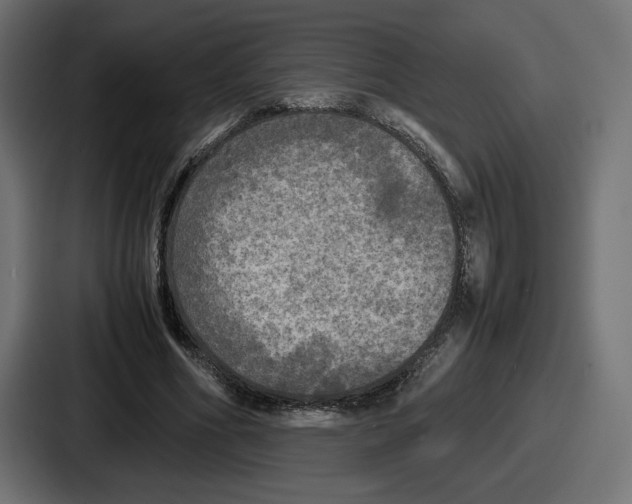 X0000086760586200705111717
