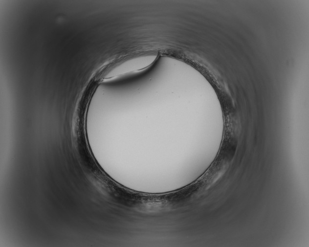 X0000086760587200705111717