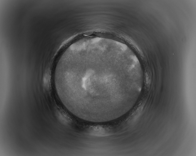 X0000086760588200705111717