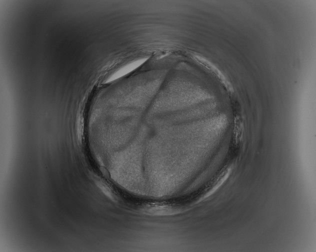 X0000086760589200705111716