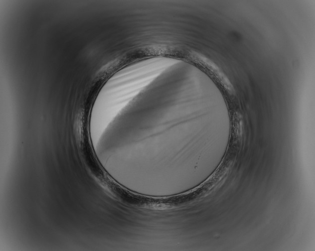 X0000086760590200705111716