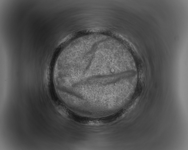 X0000086760591200705111716