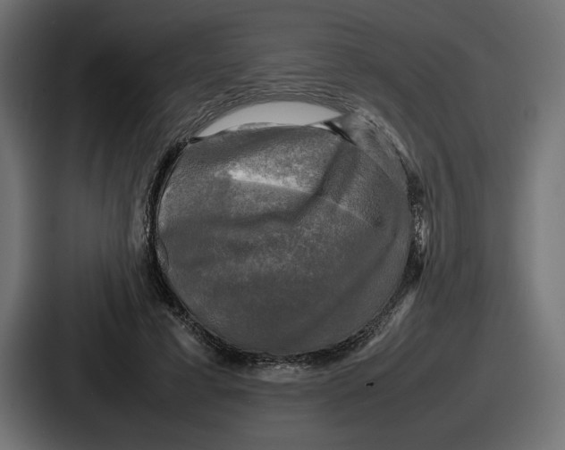 X0000086760593200705111716