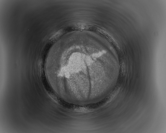 X0000086760594200705111716