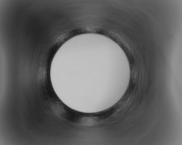 X0000086760595200705111716