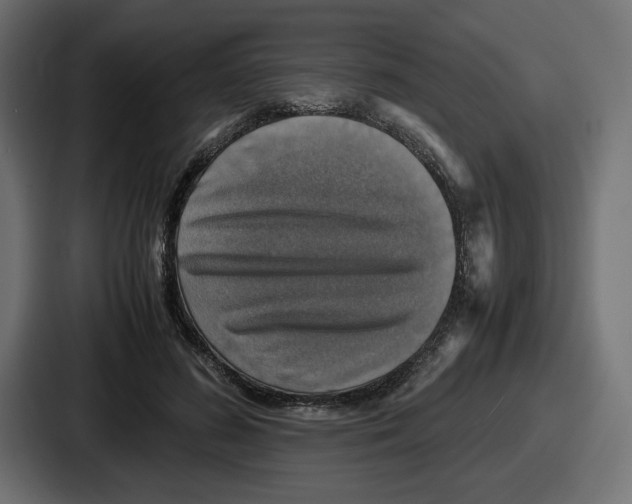 X0000086760596200705111716