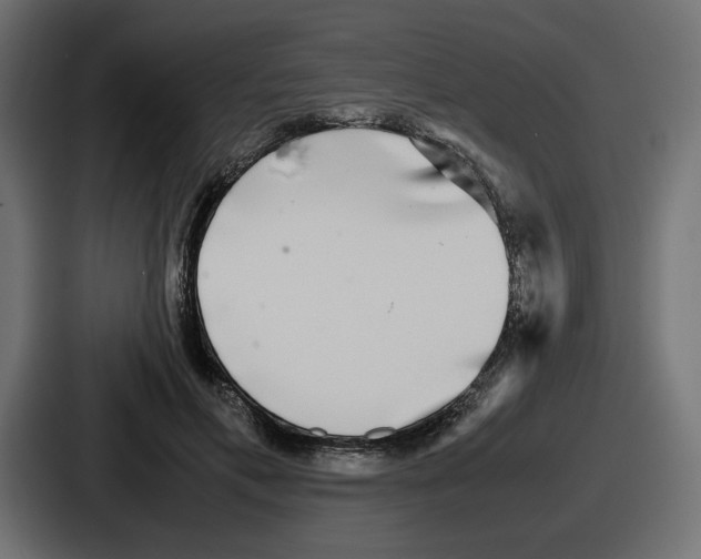 X0000086760597200705111716