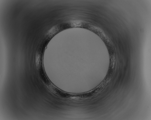 X0000086760598200705111716