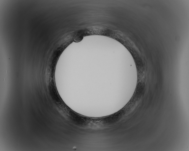 X0000086760599200705111716
